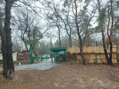 Лесовичок - 23