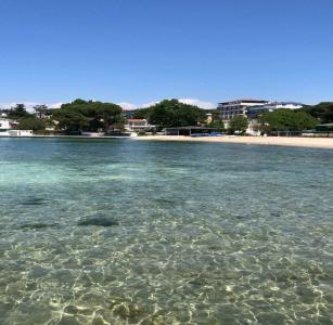 Paradise Island - 49