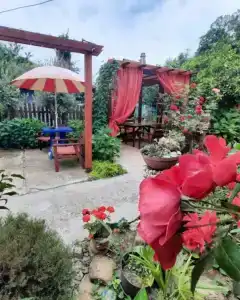 Усадьба Пантелея - 53