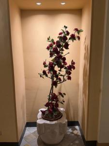 Roma e Rocca Cavour - 11