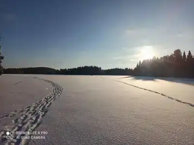 Щеккильбург - 16