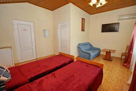 Пальмира - 67