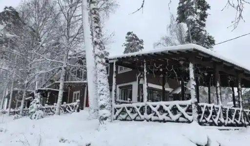 Лесной Бункер - 24