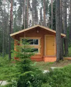 Лесной двор - 4