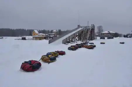 Маркомусы - 53