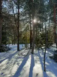 Волгоград - 43