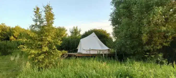 Сибарит - 29