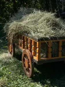 Искра - 15
