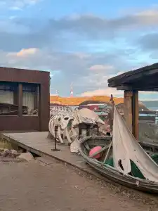 Cedar Grass Териберка - 87