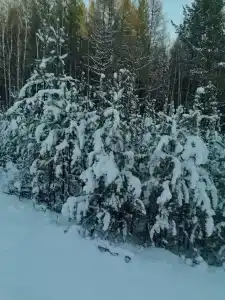 Байкальский берег - 27