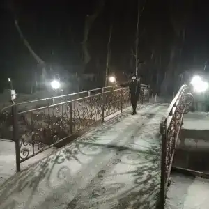 Березка - 43