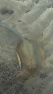 Titanic Palace - Families and Couples only - 96