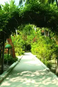 Biyadhoo Island Resort - 5