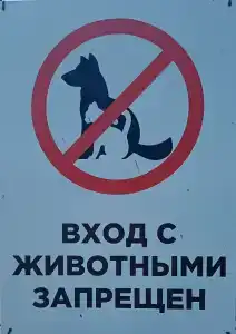 Ерши - 27