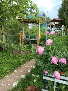 Сабро - 2