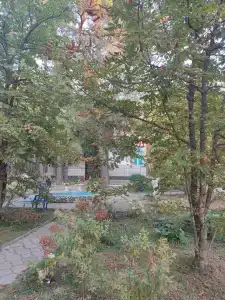 Сосновый бор - 18