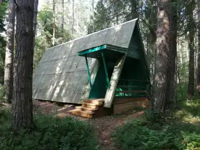 Сосновая роща - 4