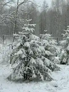 Парк Север - 13