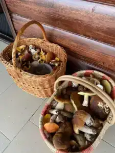 Гостевой комплекс в д. Нурмолицы - 39