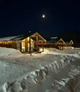 Сканди - 8