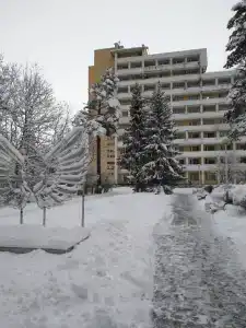 Тарховский - 31
