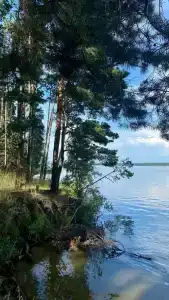 Обские просторы - 3