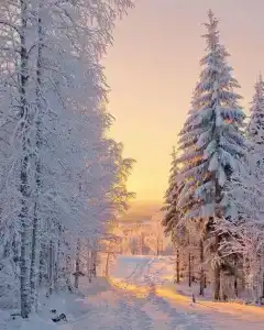 Два Мороза - 49