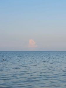 Гостевой дом на Анапском, 4 - 41