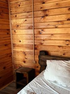 Dмитриевский - 24