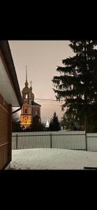 Брусника - 40