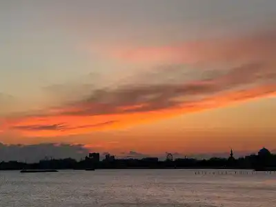 Приморский - 39