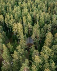 Пасторское озеро - 3