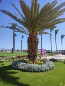 Stella Beach Resort & Spa, Makadi Bay - 54