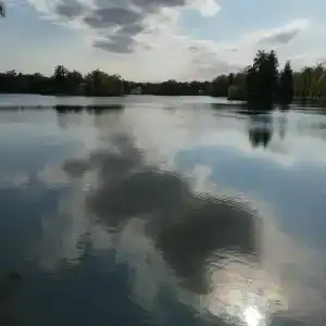 Упп5 - 14