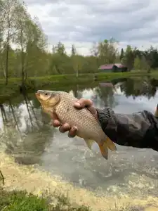 Романов дача - 7