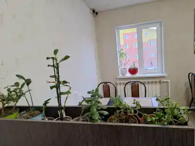 Уют - 4