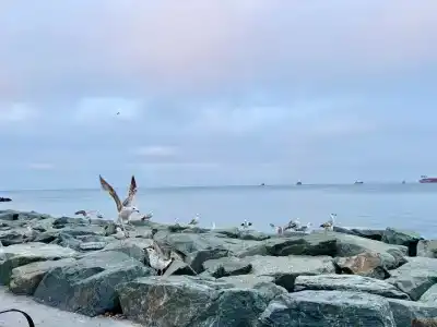 Crowne Plaza Florya Istanbul, an IHG - 42