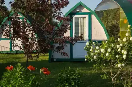 КартошКино - 24