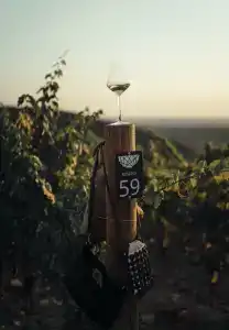 Родное гнездо - 55