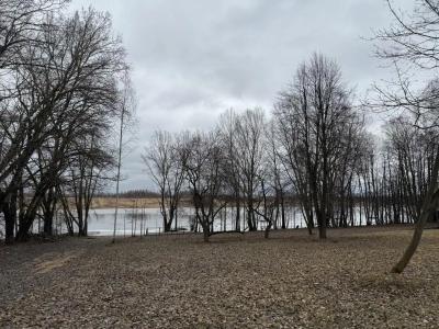 Соколино - 43