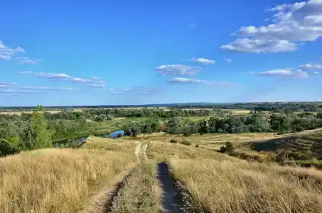 Дары Дона - 45