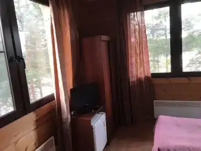 Кица ДСС - 47