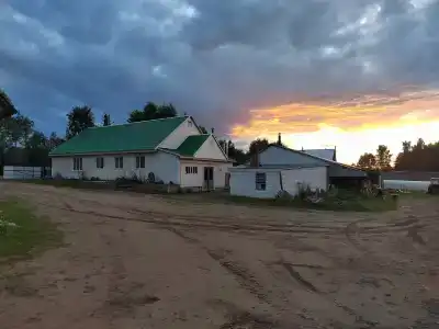 Живица - 17