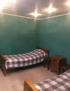 Кингфишер - 45