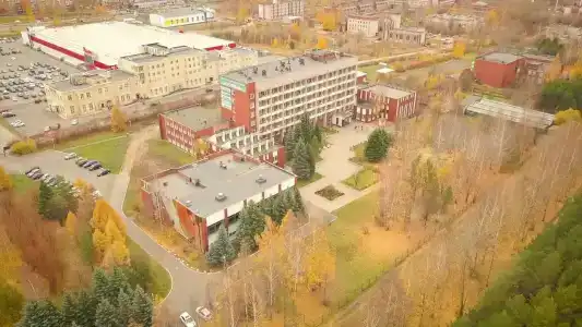 Сосновый - 20