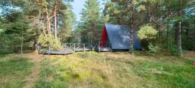 Тишина - 19