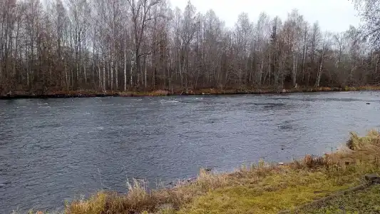 Кемпинг у порога Бели - 84