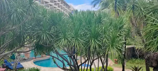 Sheraton Sanya Yalong Bay Resort - 94