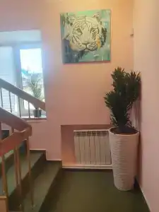 Дом на берегу Тургояка - 32