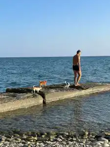 Ланселот - 47